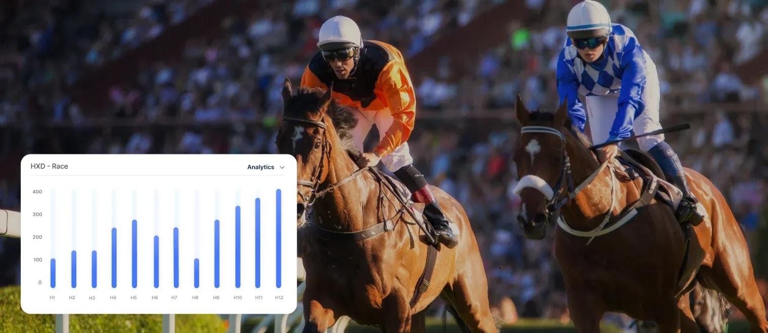 horse tracking